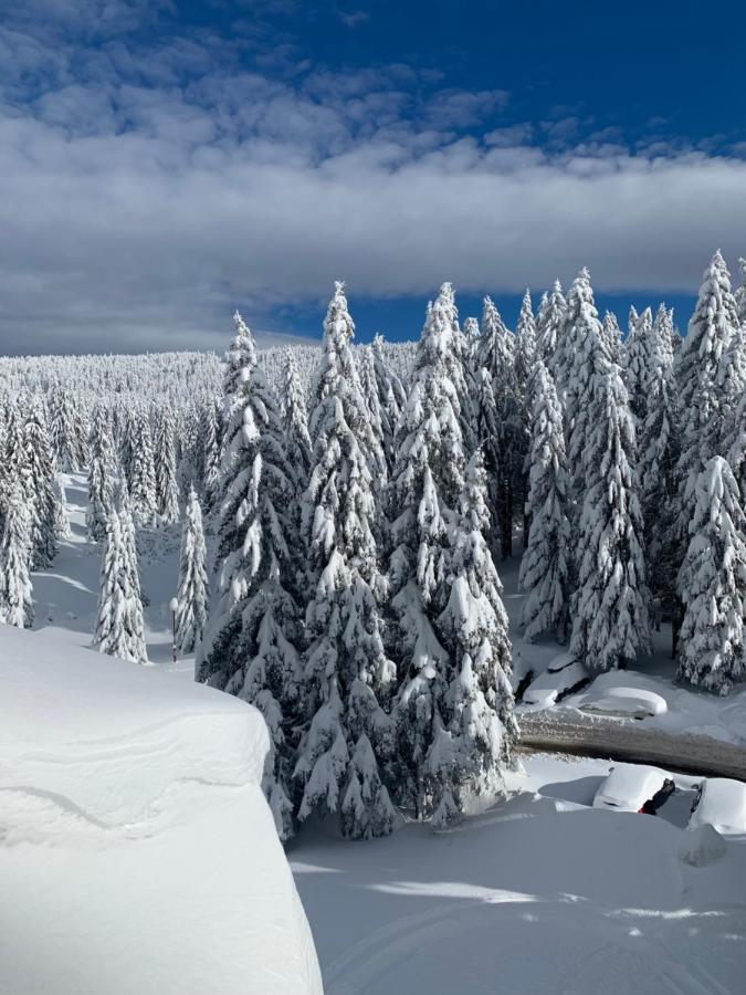 Woodside - Malo Jezero, Free Parking & *